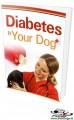 Diabetes and Your Dog