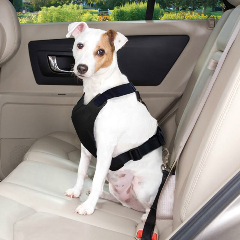 Dog Car Seat Ireland Top Ers 54 Off Visitmontanejos Com - Dog Car Seat Cover Argos