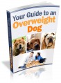Your Guide To An Overweight Dog