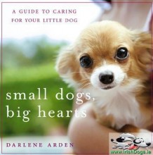 Small Dogs, Big Hearts: A Guide to Caring for Your Little Dog, Revised Edition